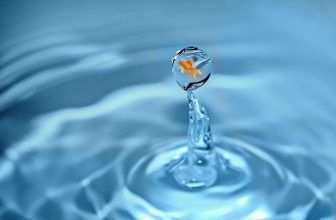 Résoudre les problème de vessie