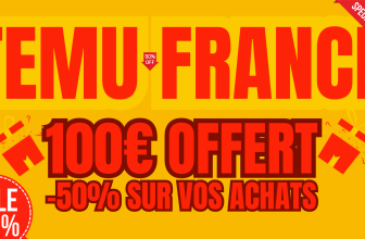 L'image montre les promo offert par Temu France