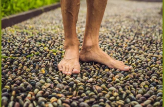 Pieds nus marchant sur un chemin couvert de pierres lisses multicolores, dans un cadre de réflexologie ou de bien-être naturel. Seules les chevilles et les parties inférieures des jambes sont visibles, évoquant une marche attentive centrée sur les sensations des pieds.