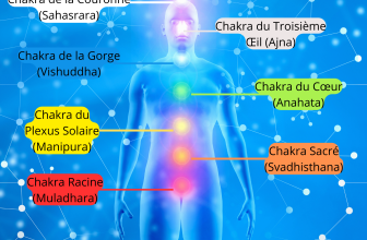 Image d'une silhouette humaine avec les chakras étiquetés. De haut en bas, les étiquettes sont : "Chakra de la Couronne (Sahasrara)" au sommet de la tête, "Chakra du Troisième Œil (Ajna)" sur le front, "Chakra de la Gorge (Vishuddha)" à la gorge, "Chakra du Cœur (Anahata)" à la poitrine, "Chakra du Plexus Solaire (Manipura)" au plexus solaire, "Chakra Sacré (Svadhisthana)" au bas de l'abdomen, et "Chakra Racine (Muladhara)" à la base de la colonne vertébrale.