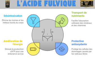L'image présente un schéma illustrant les principaux bienfaits de l'acide fulvique. Elle est divisée en quatre sections : Désintoxication : L'acide fulvique aide à éliminer les toxines et les métaux lourds du corps. Transport de nutriments : Il facilite l'absorption cellulaire des minéraux et des vitamines, optimisant ainsi la nutrition. Amélioration de l'énergie : Il stimule la production d'ATP, ce qui entraîne une meilleure endurance et vitalité. Protection antioxydante : L'acide fulvique protège les cellules des dommages causés par les radicaux libres. Le visuel intègre également des icônes pour représenter ces bienfaits de manière simple et compréhensible.