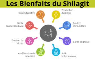 Les bienfaits du Shilajit : Santé digestive, Production d'énergie, Soutien immunitaire, Santé cognitive, Anti-inflammatoire, Amélioration de la fertilité, Gestion du stress, Santé cardiovasculaire